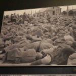 DSC_0082_00073 (June 24, 2023)